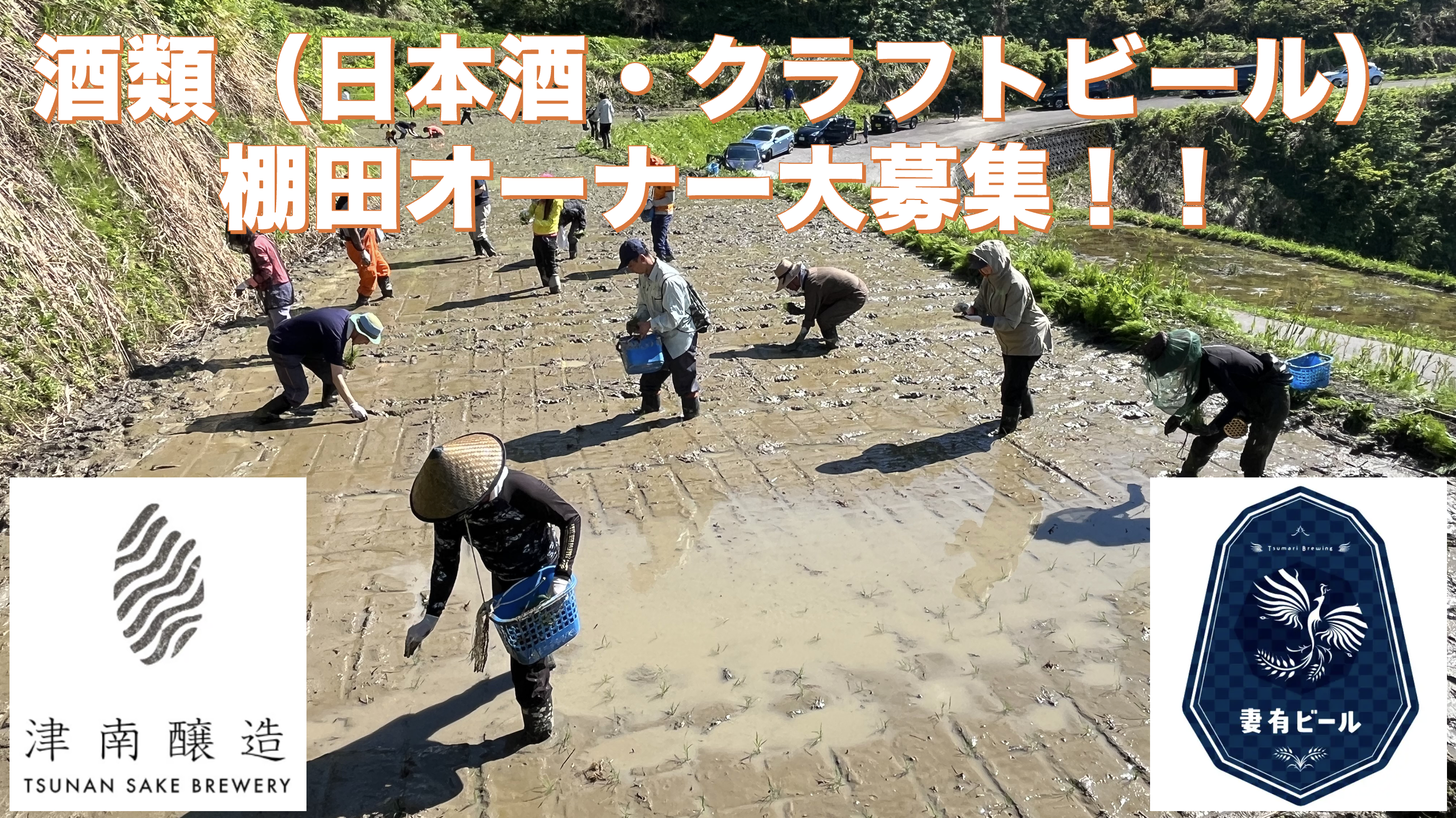 2025年度「山清水米みんなの棚田」 酒類（日本酒・クラフトビール）のオーナー大募集♪