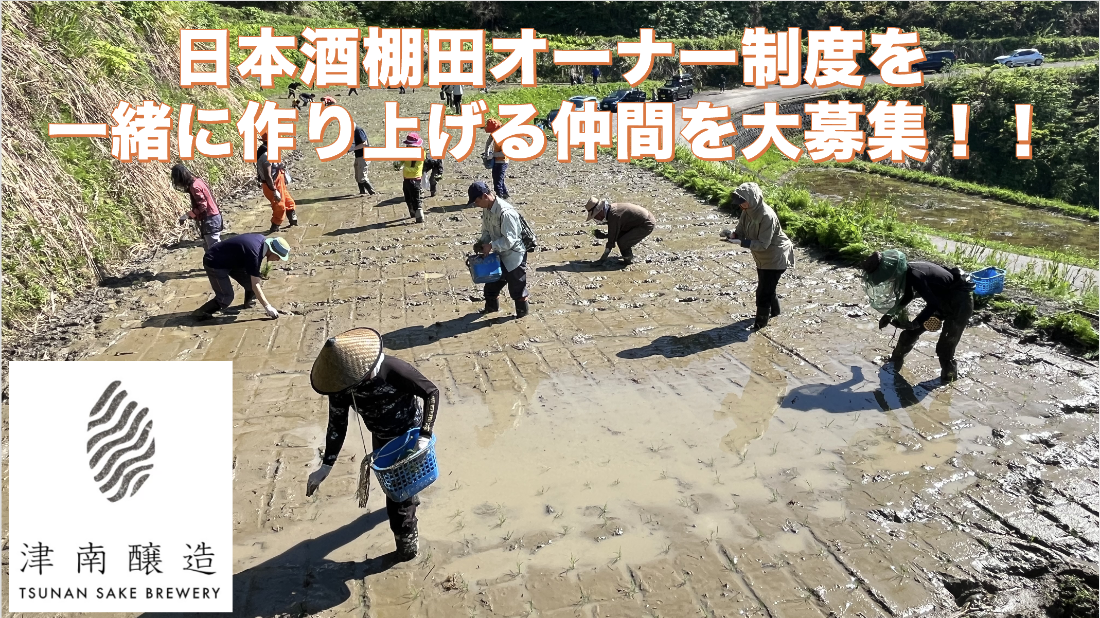 2025年度「山清水米みんなの棚田」 日本酒のオーナー制度を一緒に作りませんか？