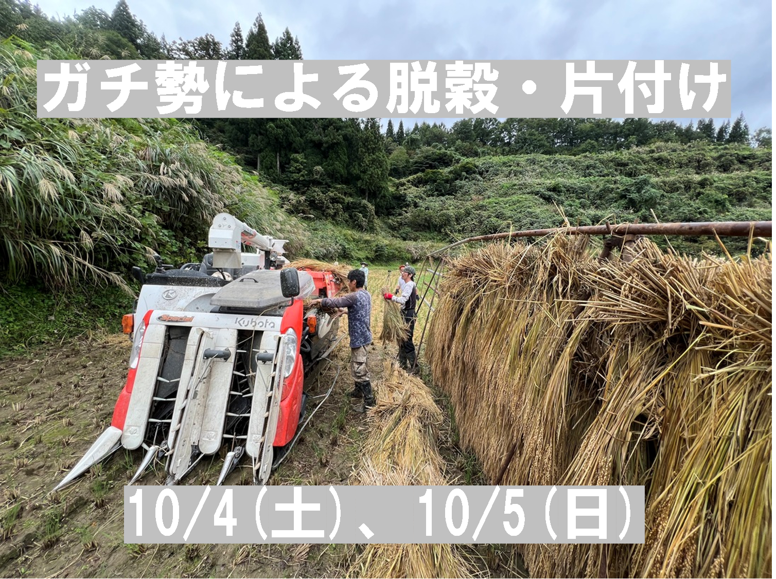 ガチ勢による脱穀・片付け