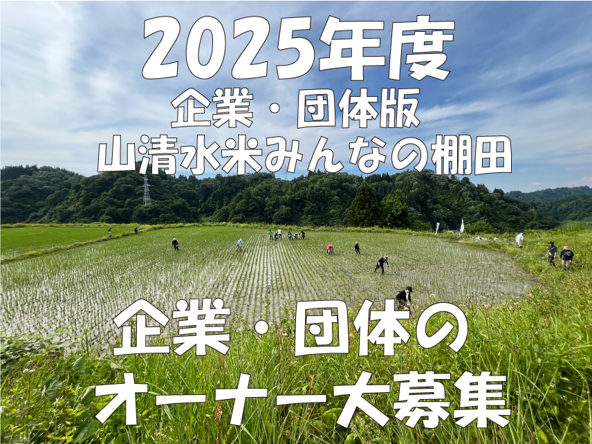 企業・団体向け棚田オーナー制度「山清水米みんなの棚田」