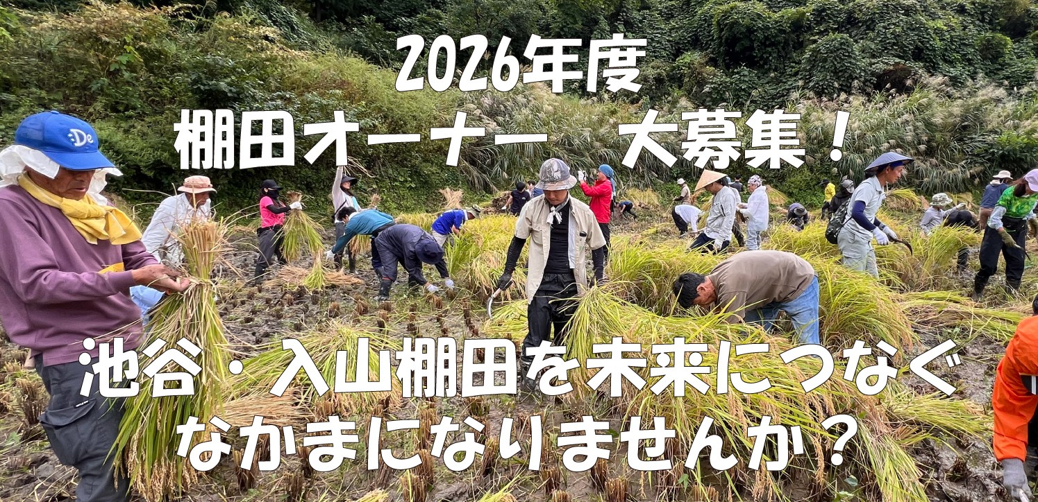 2026年度「山清水米みんなの棚田」 オーナー募集開始♪